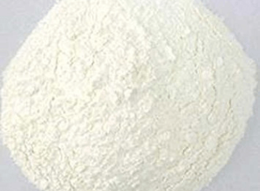 Carboxymethyl-Starch